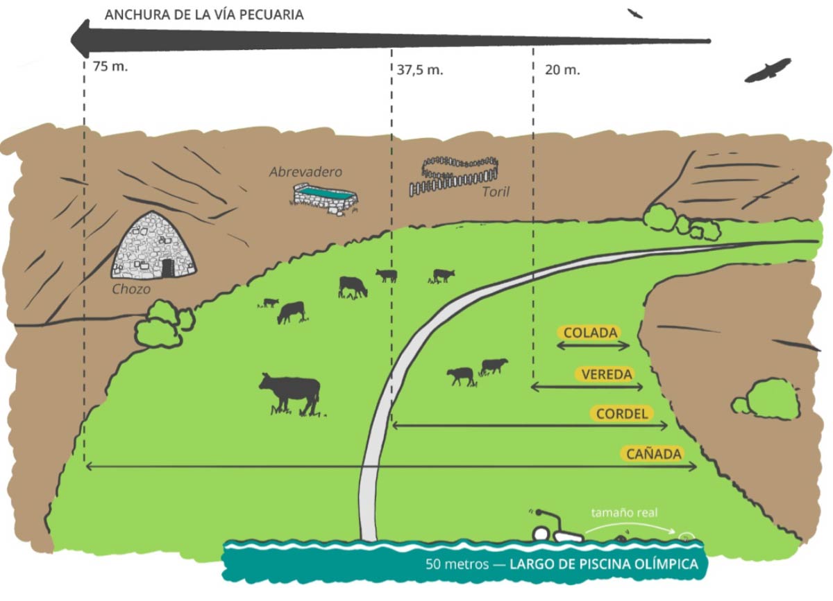 Diagrama, Mapa

El contenido generado por IA puede ser incorrecto.