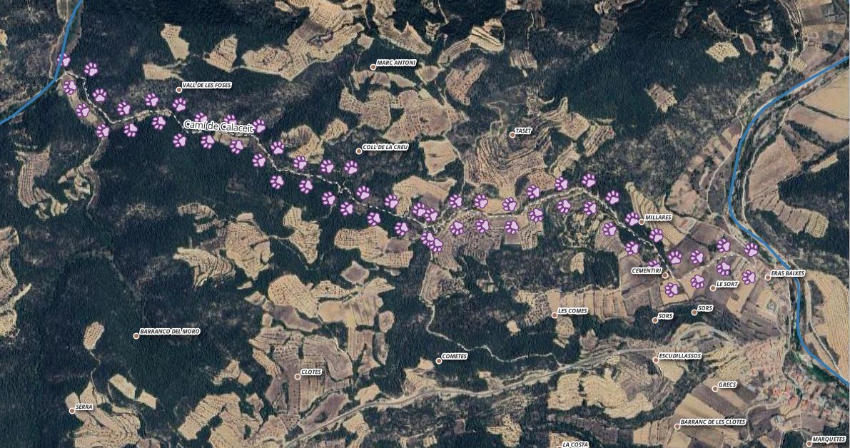 Imatge que conté mapa, Fotografia aèria, aeri